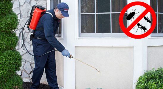 Pozantı Kemirgen İlaçlama böcek ilaçlama ve haşere kontrolü — ilaclama-tr.com